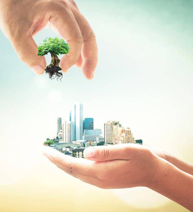 ¿Qué pensamos hacer con el medio ambiente?