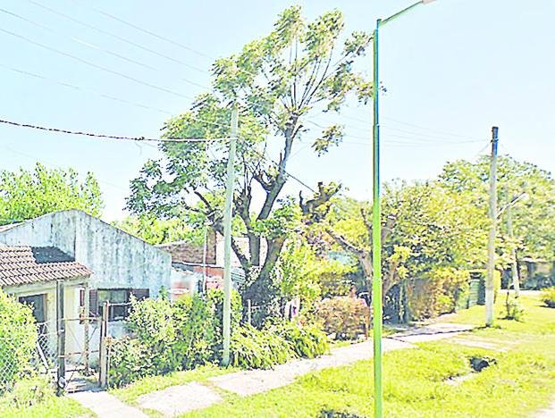 Hallaron a un joven baleado en Arturo Seguí: su estado es crítico