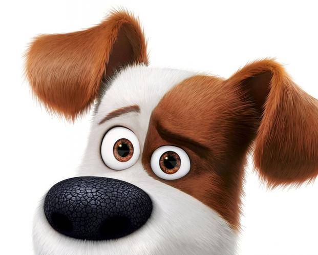 Las mascotas y sus secretos siguen arriba