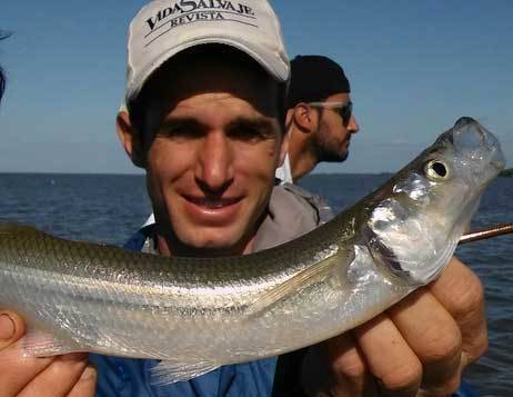 Quilmes: entretenida pesca de pejerreyes