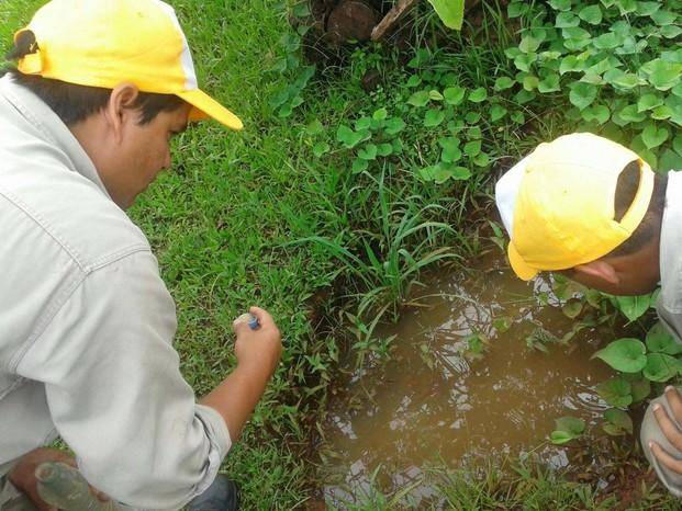 Ya hay que ponerse en guardia contra el dengue
