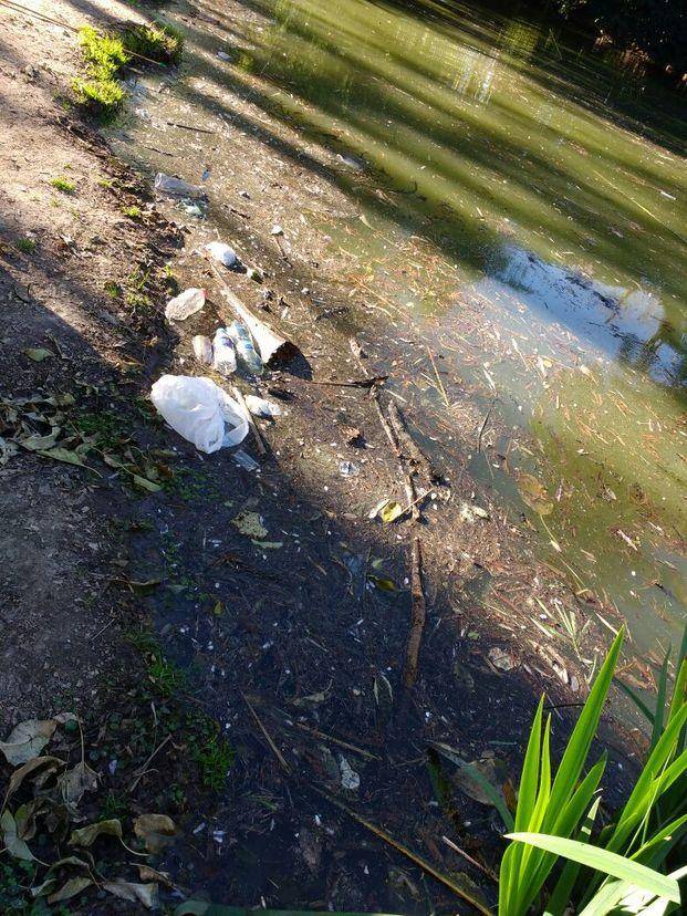 Quejas por presencia de basura en el lago del Bosque