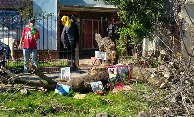 Una nena de dos años murió aplastada por la rama de un árbol en Merlo