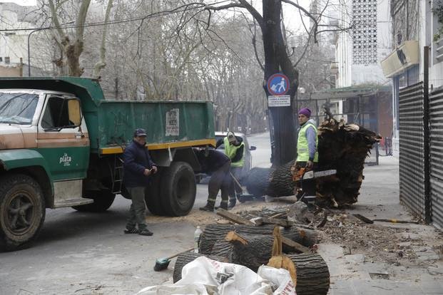 Planteos por una tala en 53 entre 5 y 6