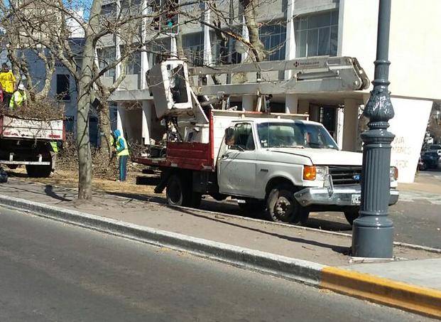 Nueva jornada de poda complica el tránsito en Diagonal 74