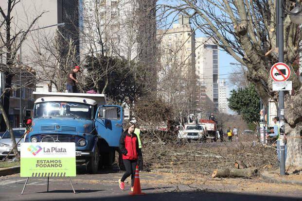 Nuevas quejas de los comerciantes del centro por las podas en diagonal 74