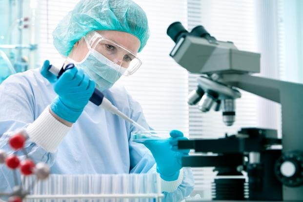 La ciencia avanza hacia la posibilidad de crear riñones trasplantables