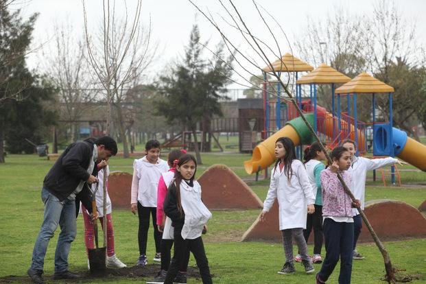 Homenaje al árbol en la Primaria 58