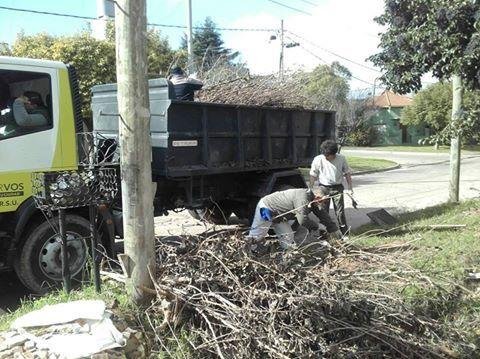 Operativo de recolección de ramas en La Colonia