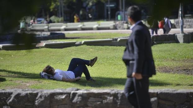 Continúa la primavera en medio del invierno