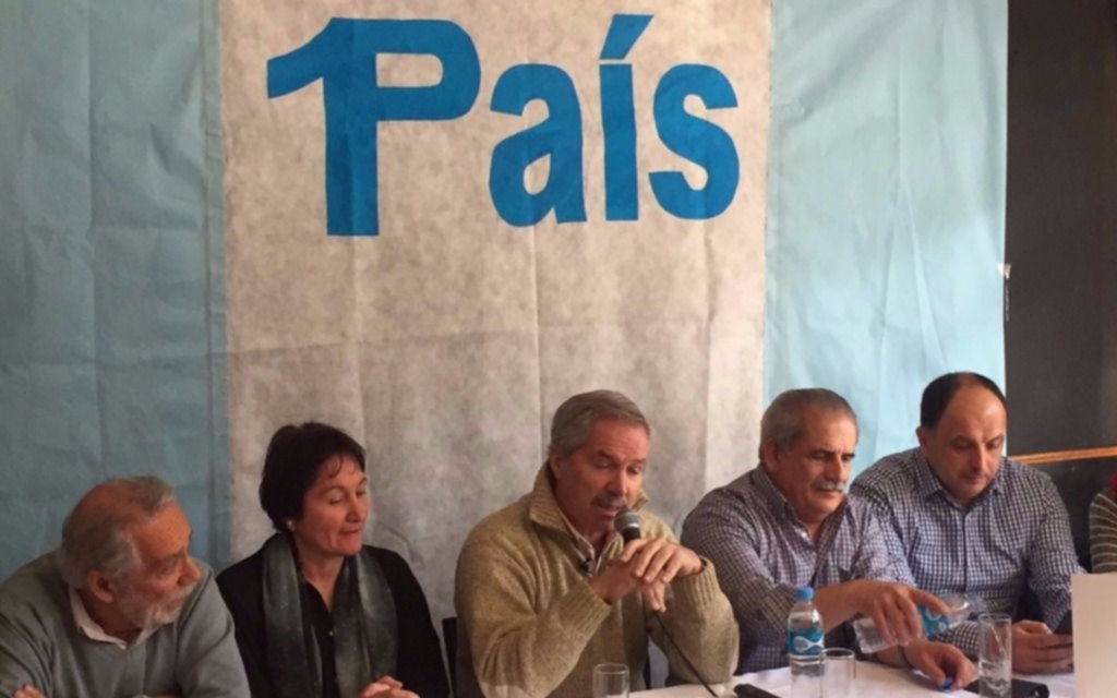 Para Solá, un triunfo de Cristina significaría que Cambiemos "fracasó"