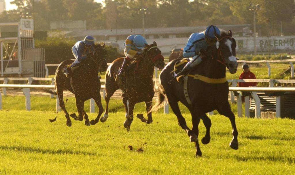 Top Cats respondió y sigue ganando