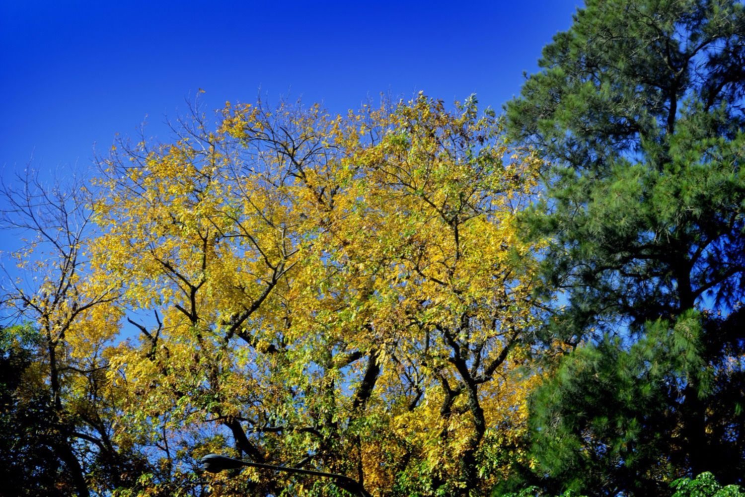 Sábado primaveral en la Ciudad con máxima de 20 grados y cielo despejado