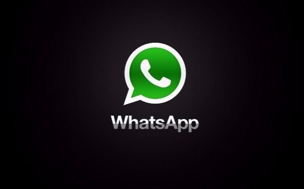 Conectate con EL DIA a través de WhatsApp