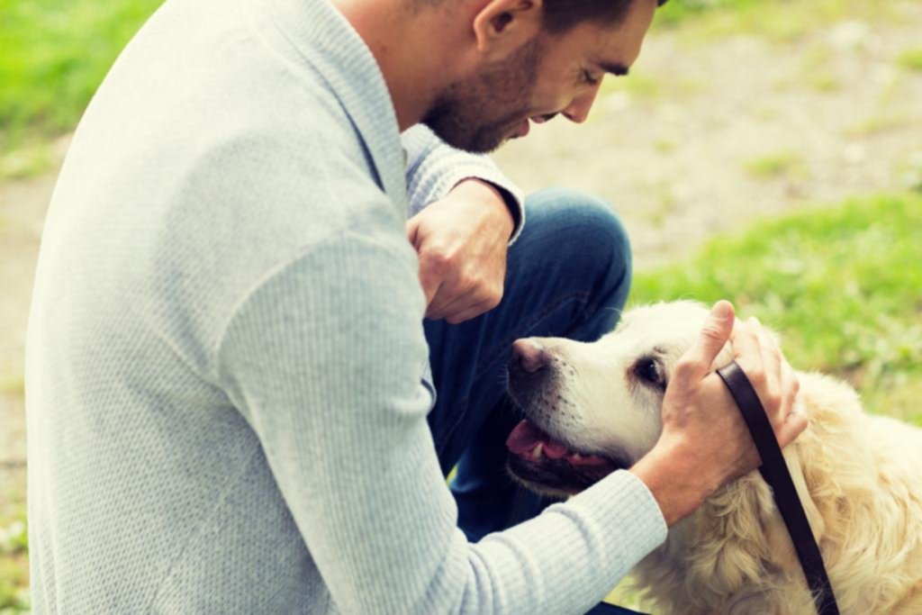 Los perros son sociables, está en sus genes