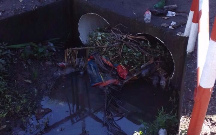 Queja por basura, roedores y  contaminación en 491 y  Camino Centenario