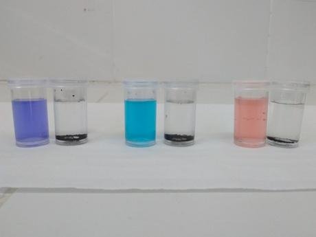 Científicos platenses prueban descontaminar agua con desechos
