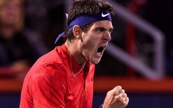 Del Potro sigue a paso firme en Cincinnati