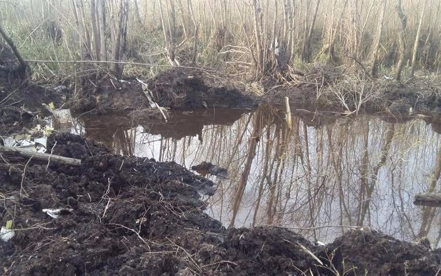 Llevan adelante las pericias en el lugar en el que encontraron el avión desaparecido