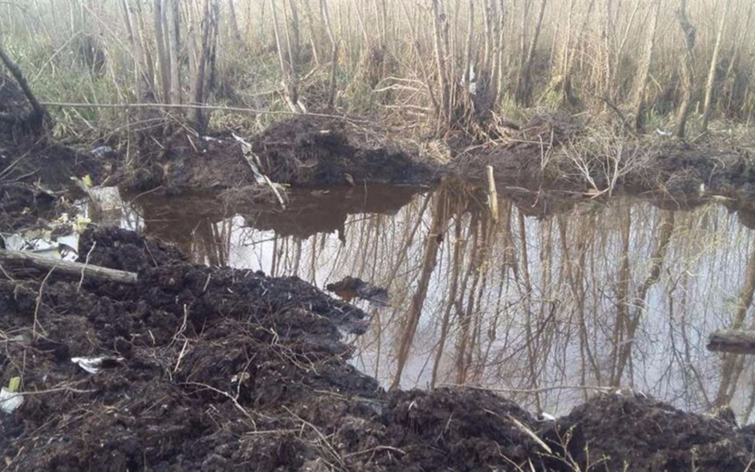  Comenzó el rescate de los restos de la avioneta caída en el Delta del Paraná