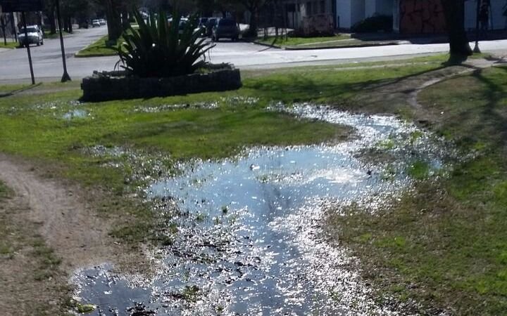 Denuncian pérdidas de agua en  el Parque Alberti de La Loma