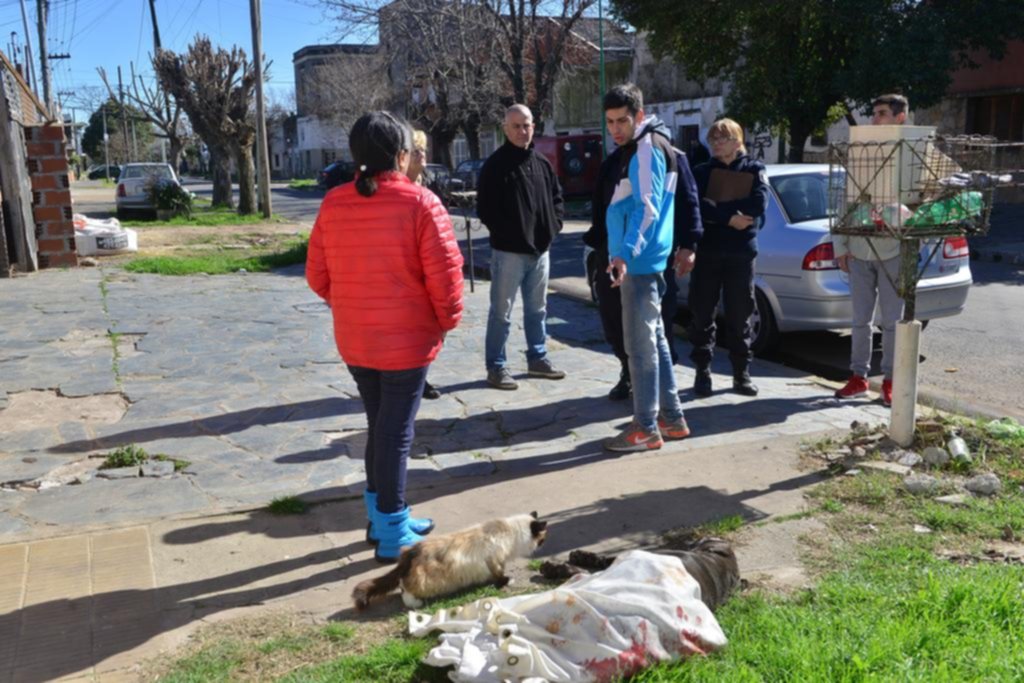 Vecinos movilizados por la muerte del perro del barrio