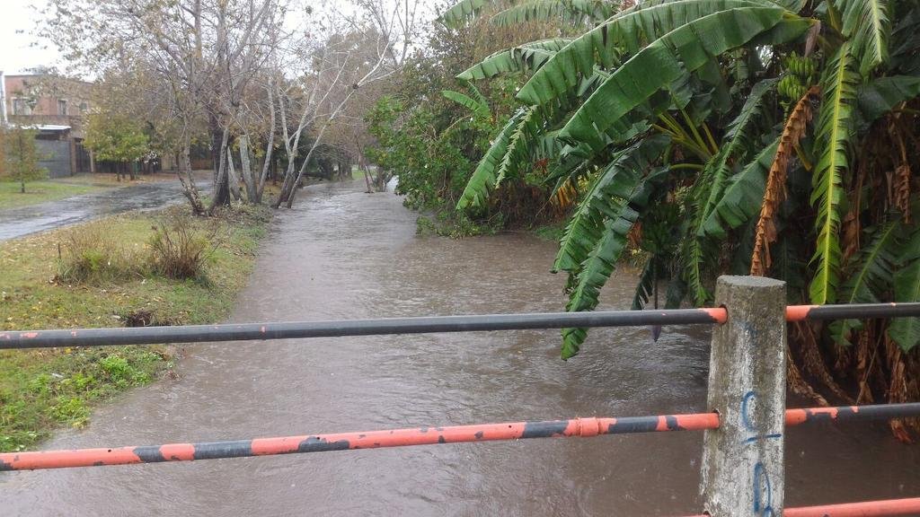 Los vecinos de Gonnet eligieron obras en el arroyo Don Carlos y cámaras de seguridad