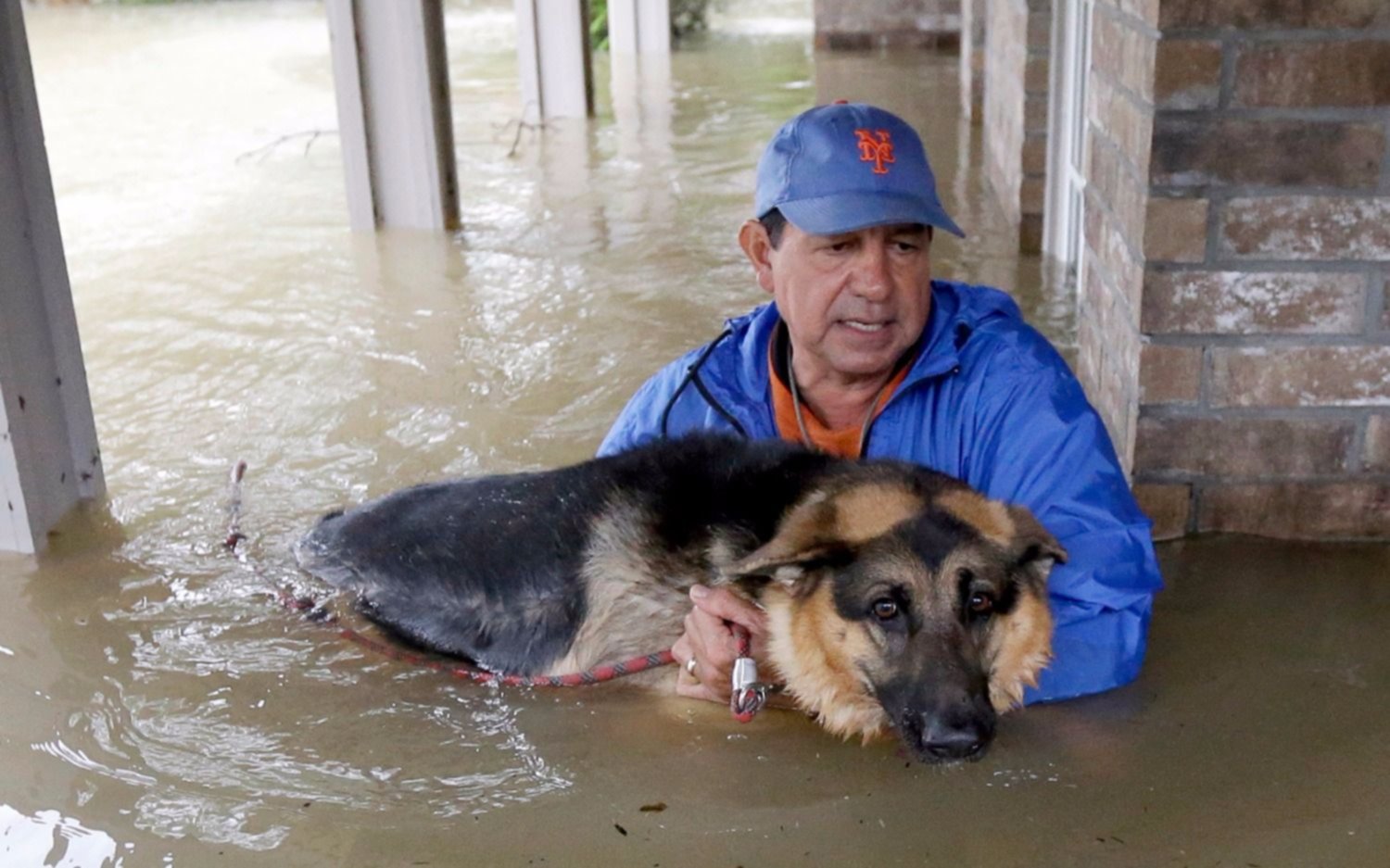 En fotos HD: así quedaron Texas y Luisiana tras el paso del huracán Harvey
