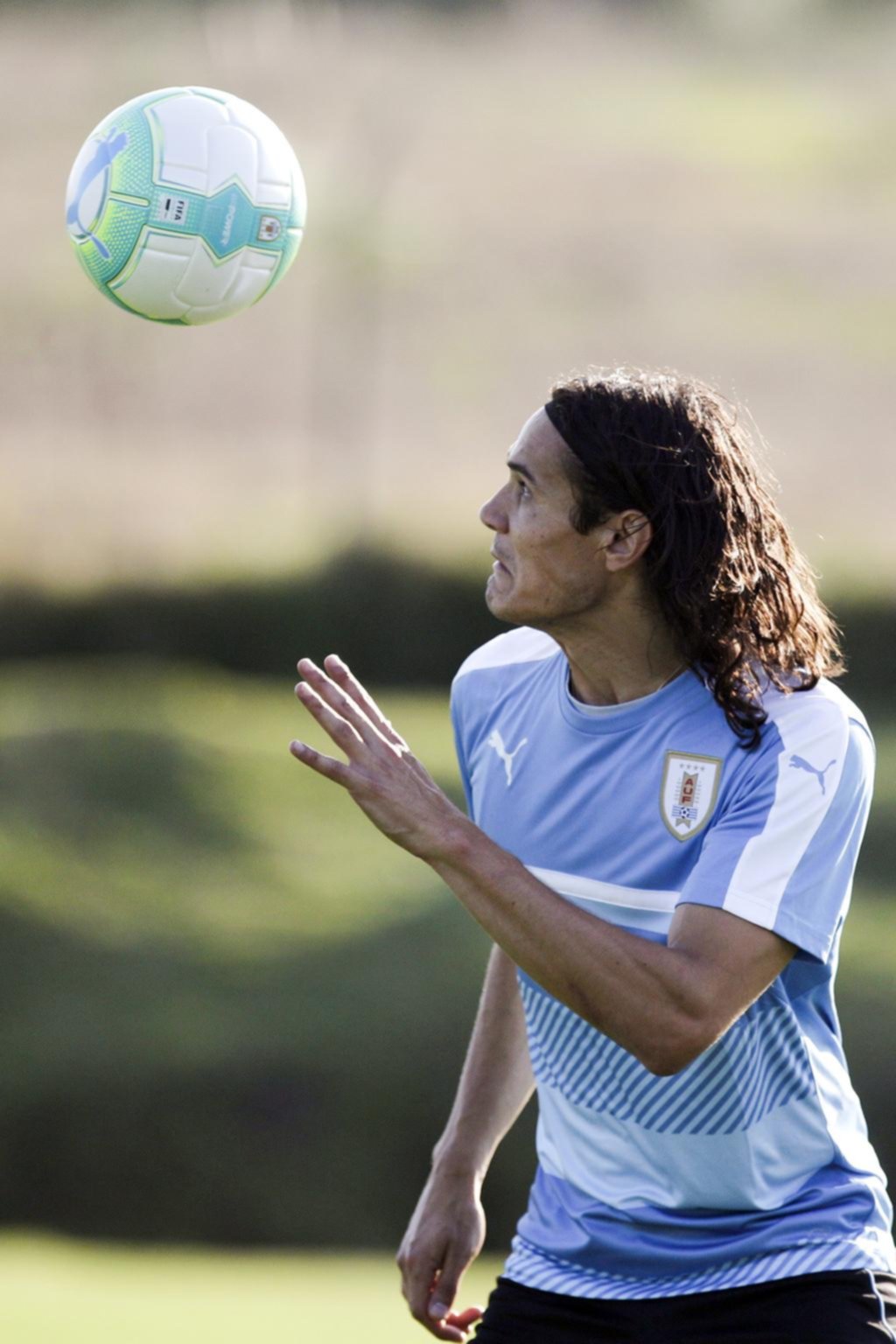 La Celeste empezó a trabajar