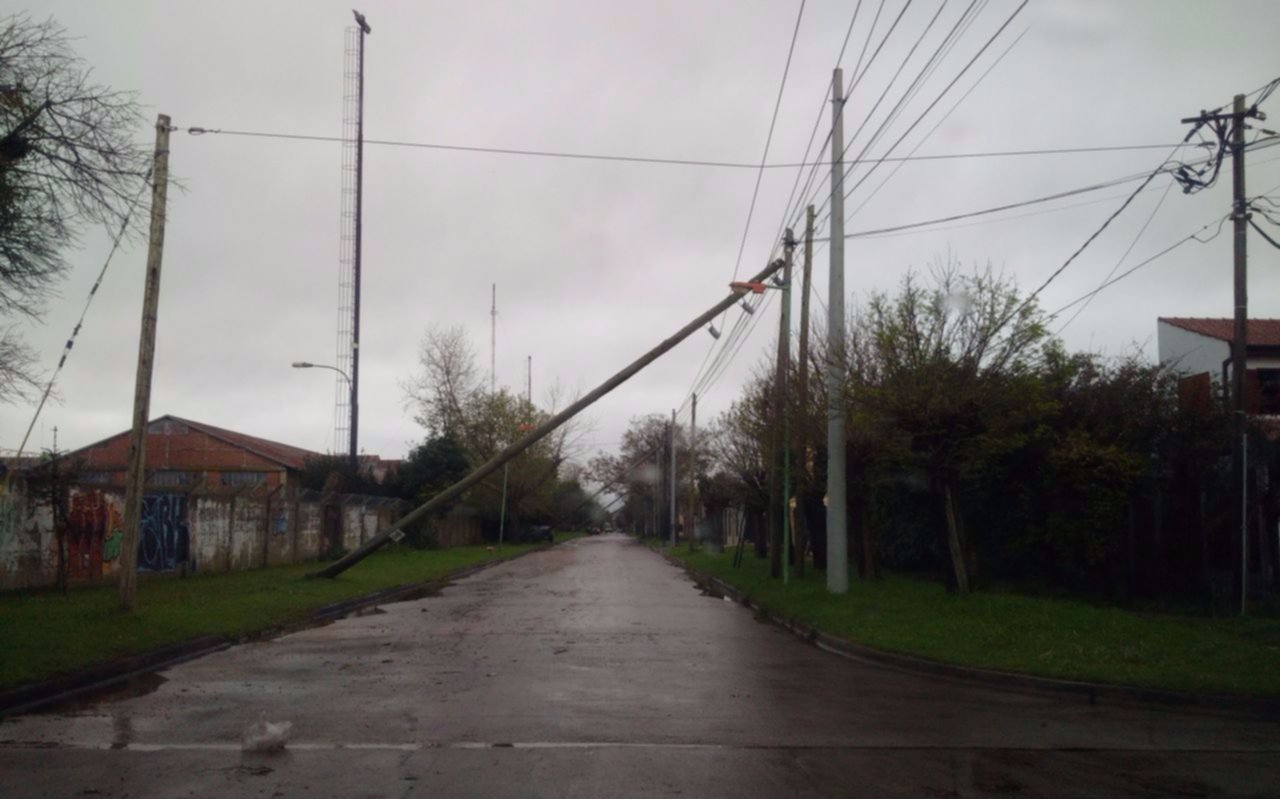 Colección de postes caídos tras la jornada de lluvias
