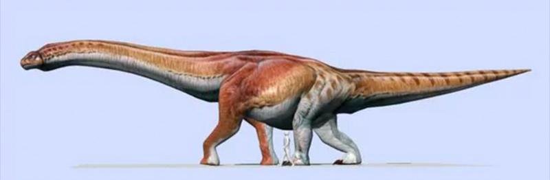 El dinosaurio más grande del mundo ya tiene nombre