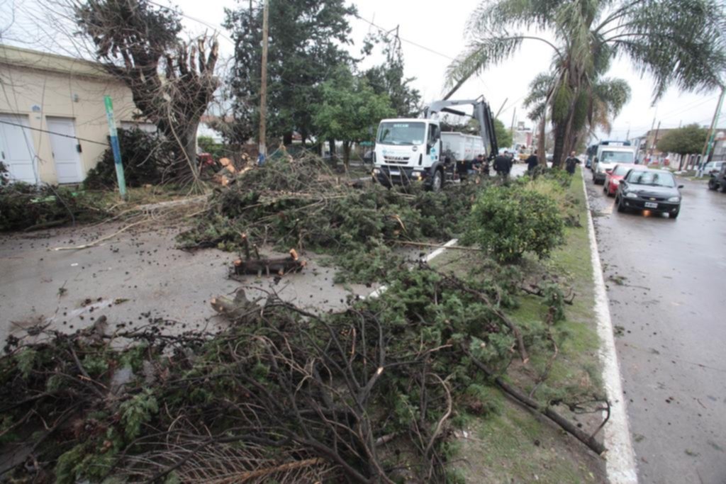 Una furiosa tormenta de lluvia, granizo y viento castigó con dureza a la Región