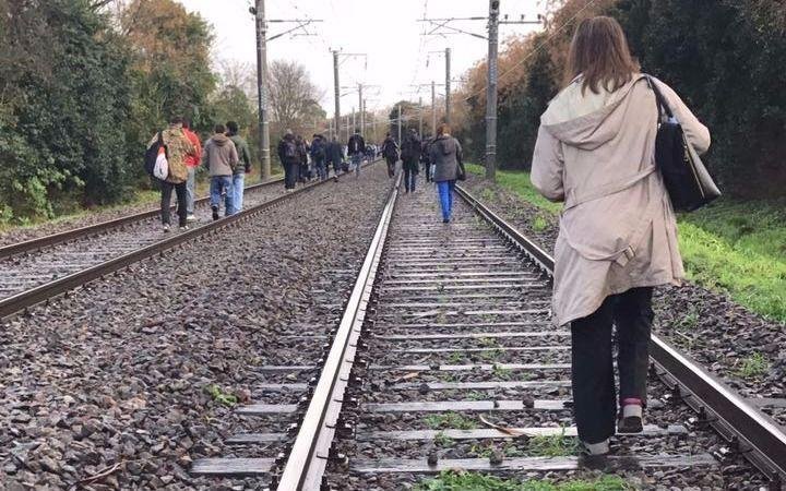 Un árbol se desplomó sobre un tren en Hudson