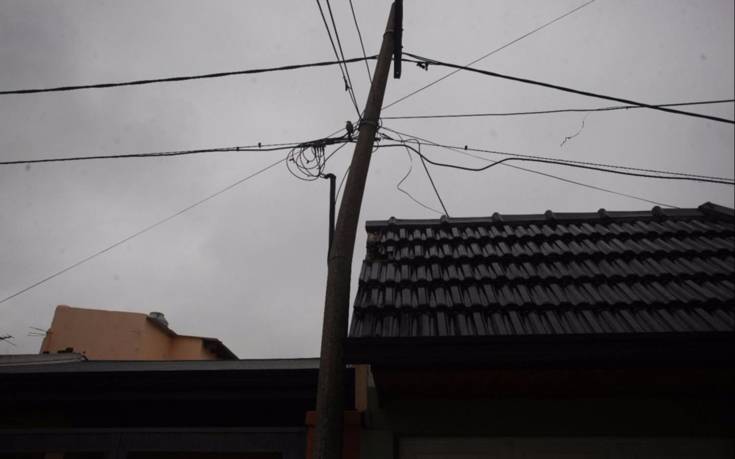 Sectores de la Ciudad siguen sin luz tras el temporal