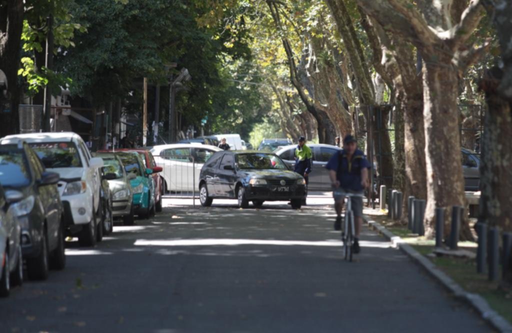 Con eje en el peatón, buscan jerarquizar las avenidas 51 y 53 entre las calles 4 y 6