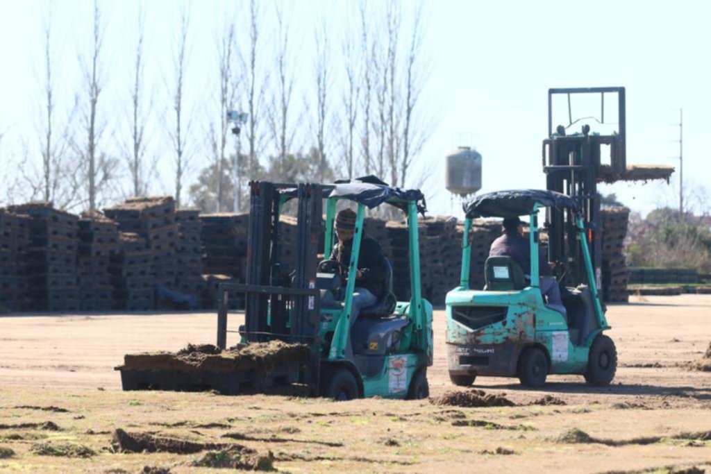El Único pasará a utilizar un sistema de césped híbrido