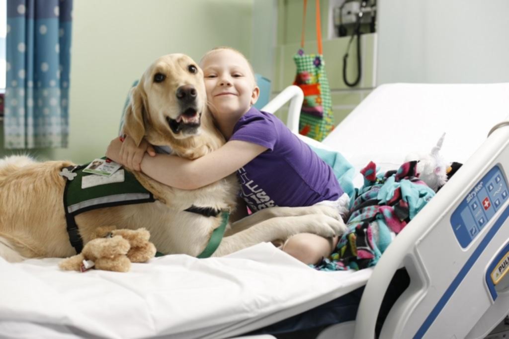 Los perros del TACA que trabajan contra el cáncer infantil en el Hospital de Niños