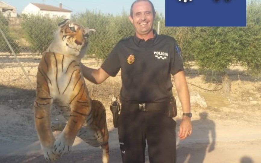 Un tigre causó terror en un pueblo de España pero... ¡era de peluche!