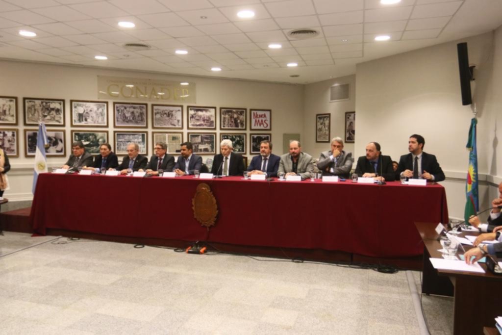 Testimonios sobre la “intromisión” de causas en el juicio político a Luis Arias