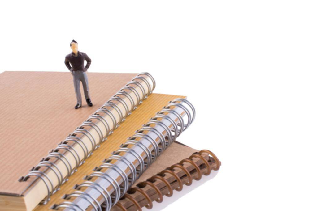 Los cuadernos y la economía