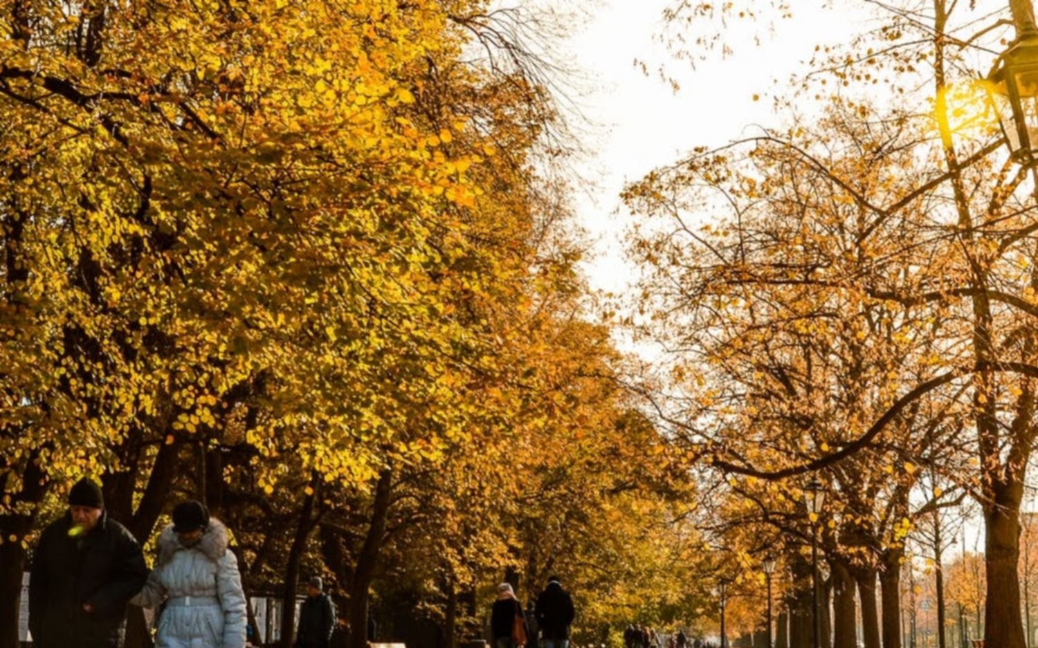 Un adelanto de primavera