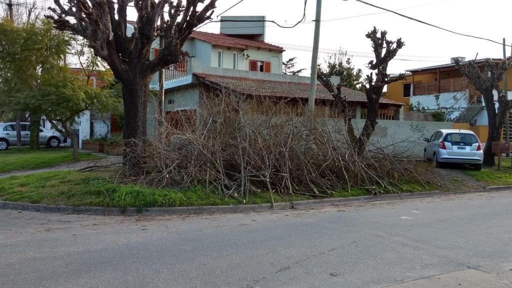 Piden que se retiren ramas de la esquina de 11 y 504