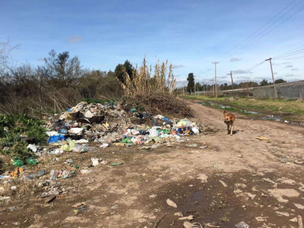 Abandono y basurales entre Los Hornos y Olmos