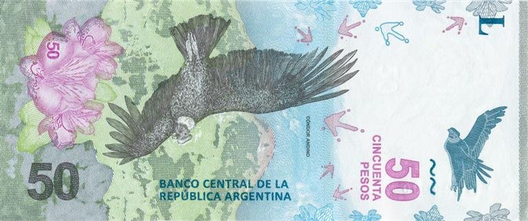 Nuevo billete de 50 pesos con la imagen del cóndor andino