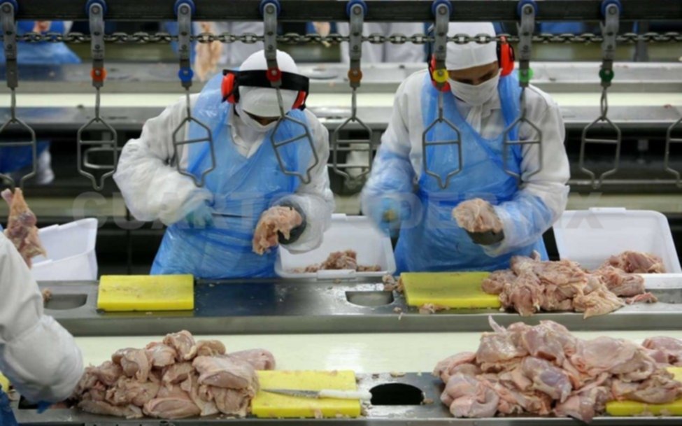  La actividad económica cayó un 6,7 por ciento en junio