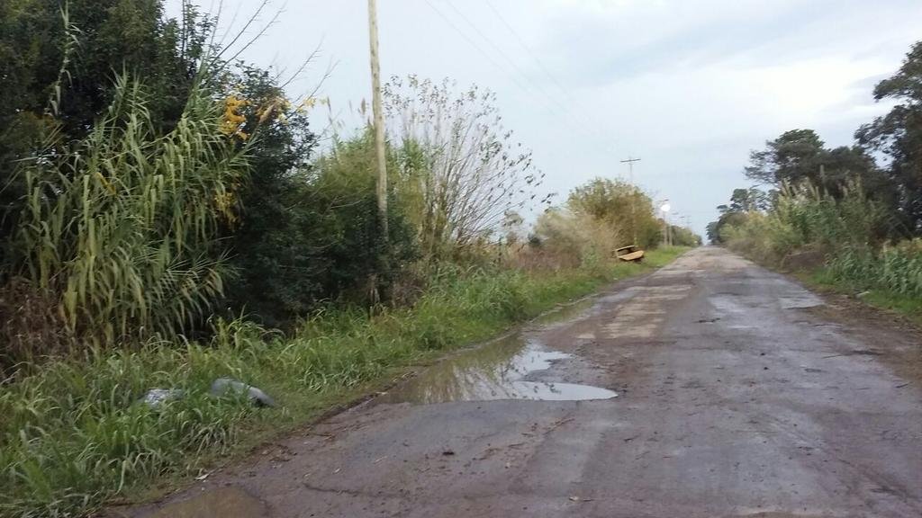 La calle 600 desde 137 a 167, una traza clave para los productores hortícolas que sigue “en ruinas”