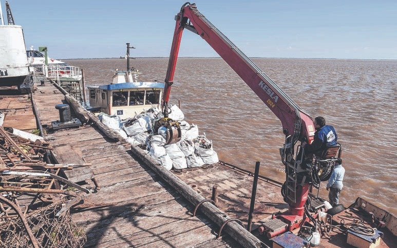 Extraen más de cien toneladas de basura en la isla Martín García
