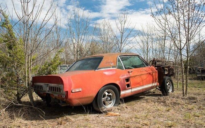 Dejó abandonado 20 años, sin saberlo, un auto que valía una fortuna