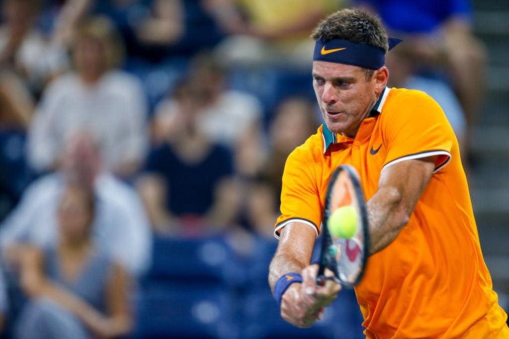 Del Potro impuso condiciones para un triunfo en sets corridos