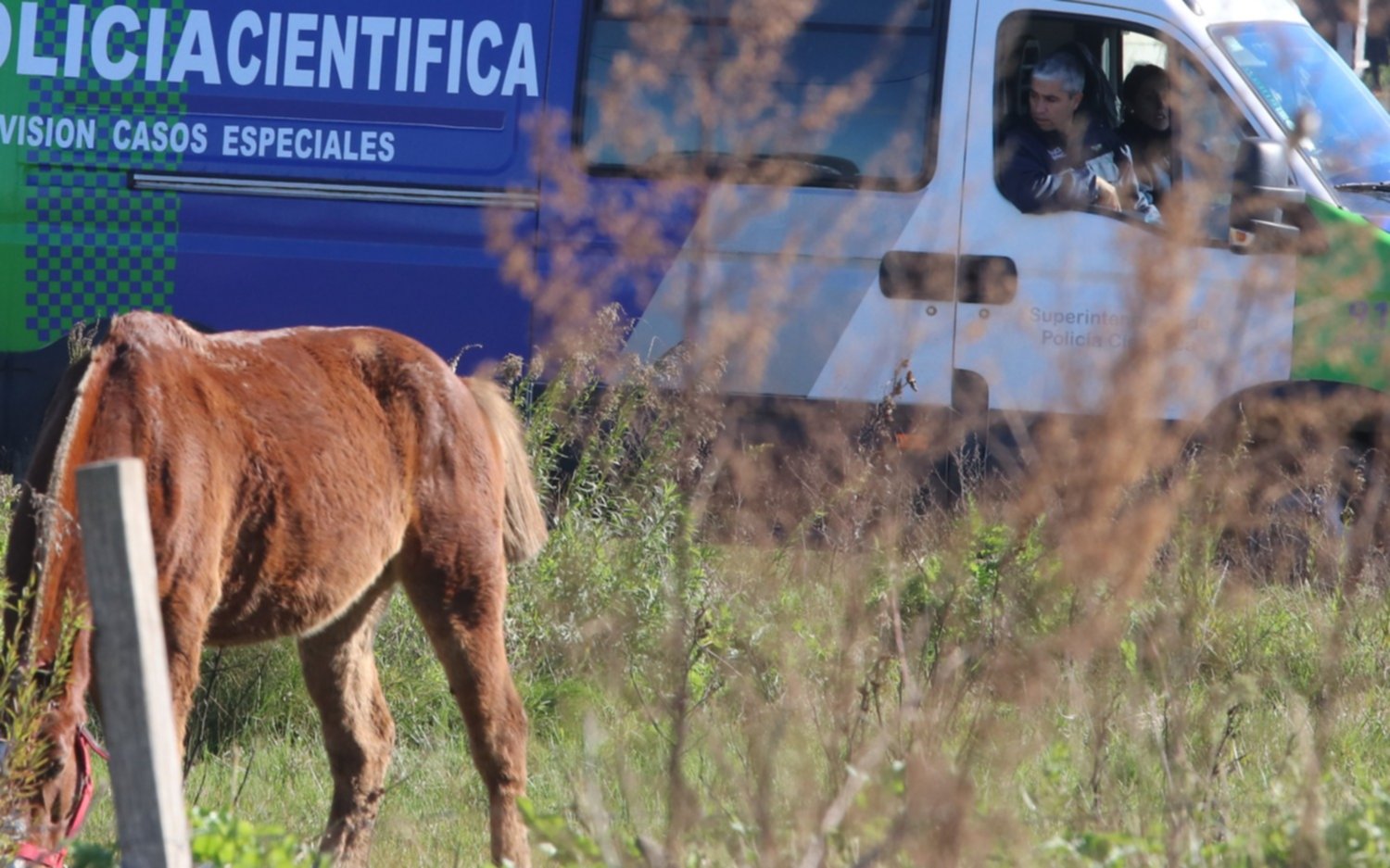 El Palihue: Investigan la muerte de un hombre que fue hallado con dos tiros en el pecho
